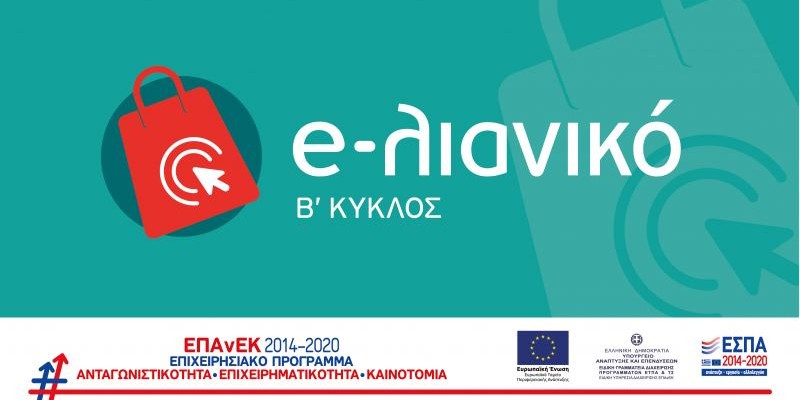 Monitoring of the implementation of the "e-lianiko II" programme