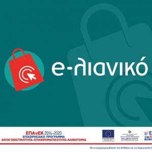 Monitoring of the implementation of the "e-lianiko" programme
