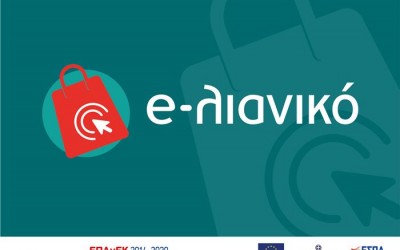 Monitoring of the implementation of the "e-lianiko" programme