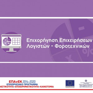 Monitoring of the implementation of the programme "Subsidies for accounting and tax services"
